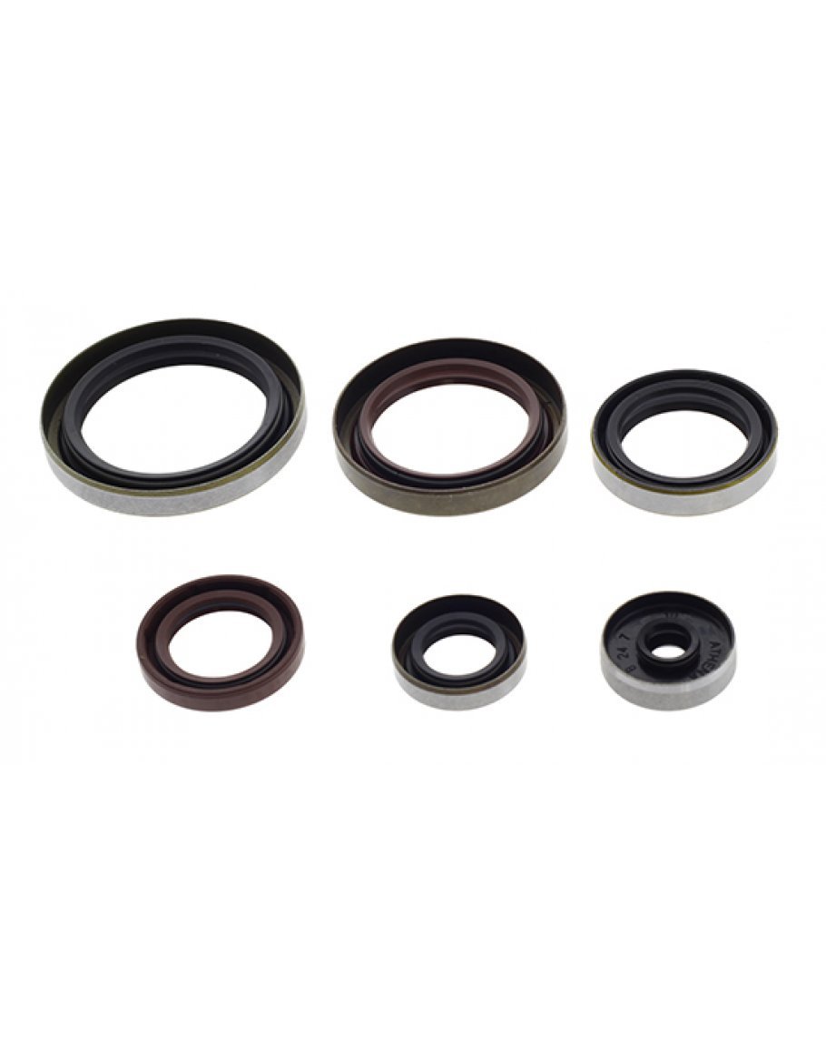 Sada gufier motora Beta RR 2T 250/300 2014-2023