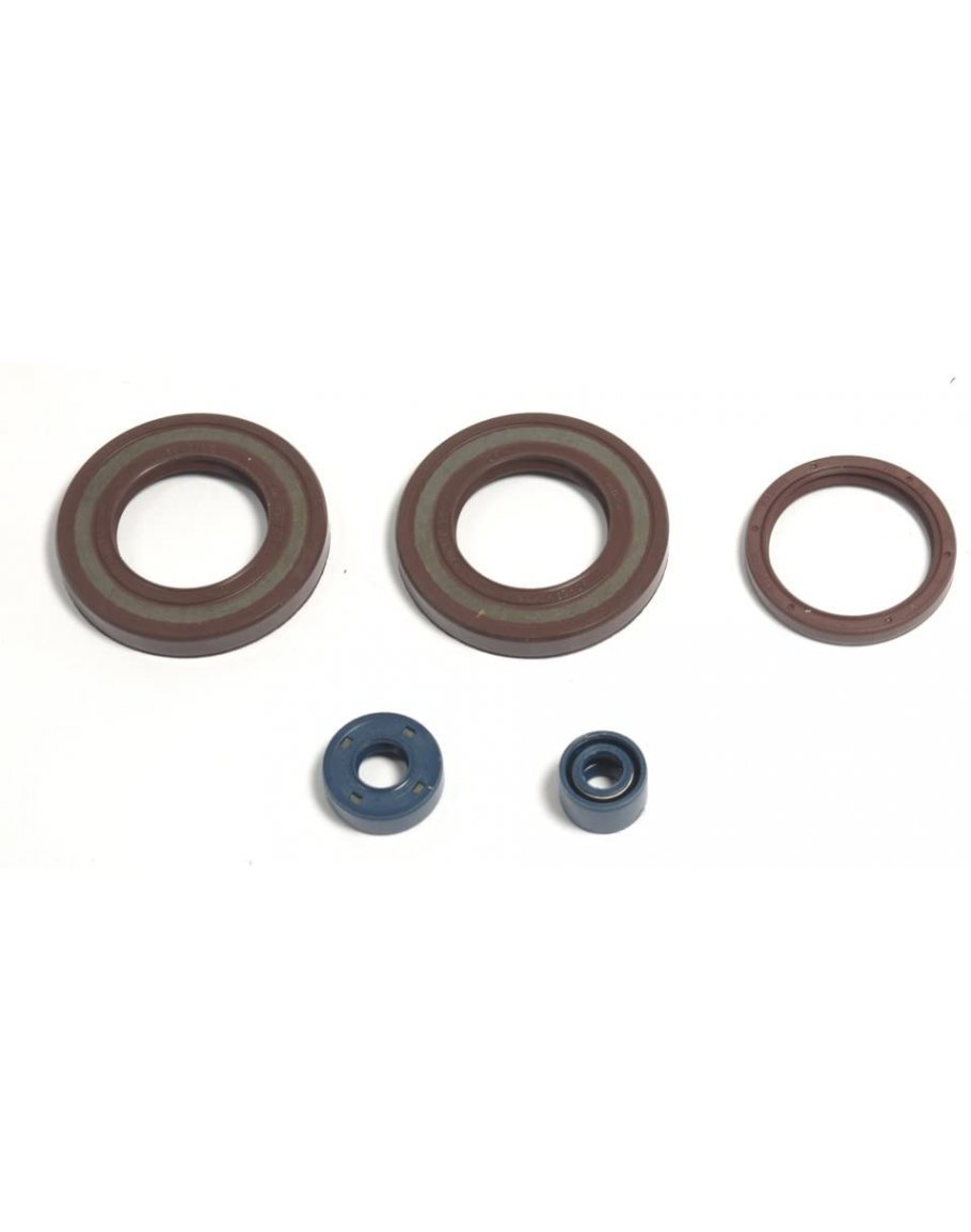 Sada gufier motora Husqvarna TC/TE 350/400/410/510/610