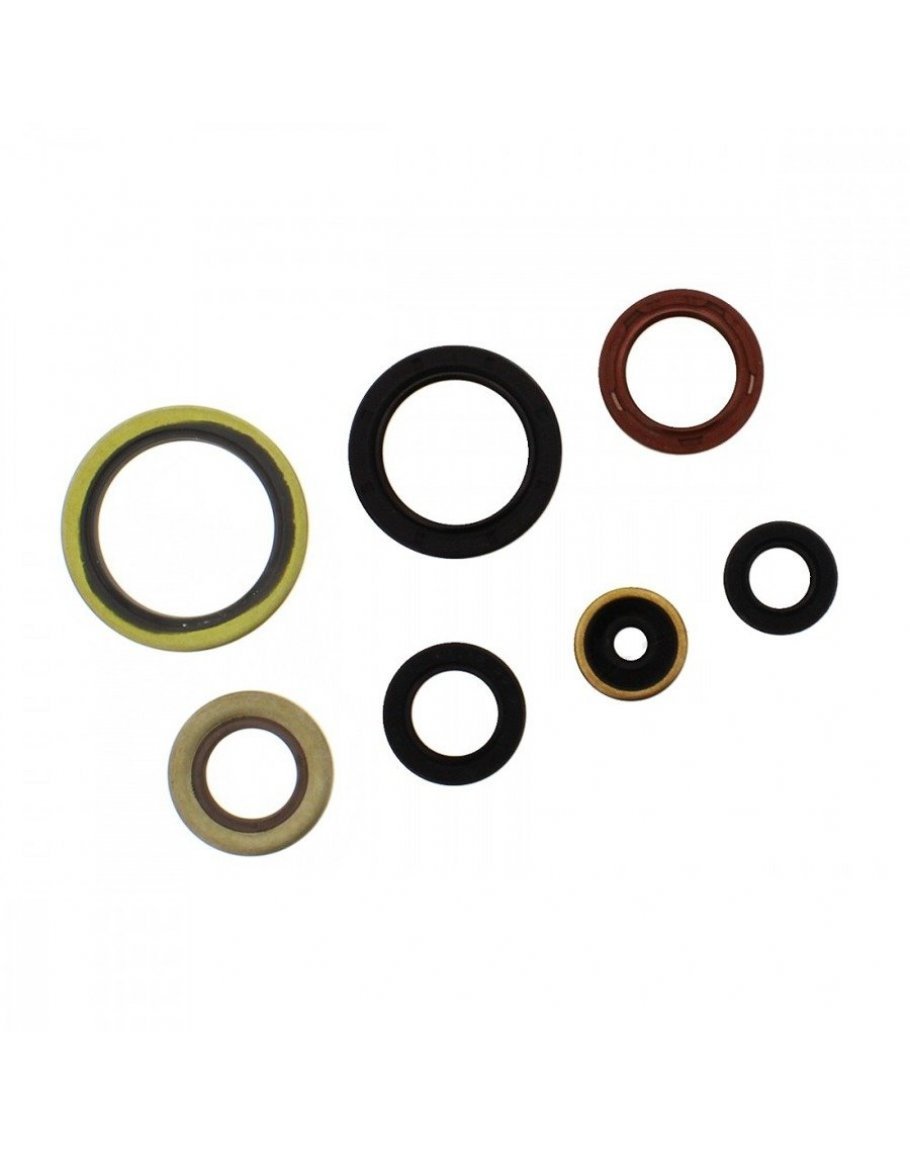 Sada gufier motora KTM EXC 250/300 17-23, SX 250 17-22, HSQ TE 250/300 17-23, TC 250 17-22,Gas-Gas EC 250/300 21-23